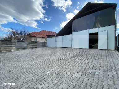 Cetate, Alba Iulia, Alba