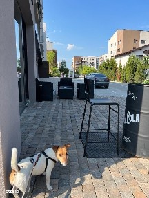 Spatiu de inchiriat Targoviste| 60mp front| Complex rezidential*