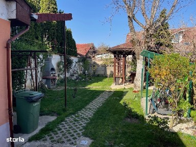 Subcentral, Satu Mare