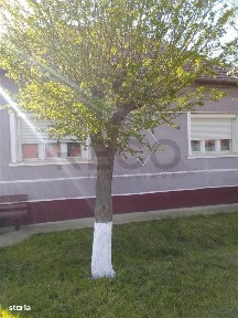 RECO Casa la 18 km de Oradea