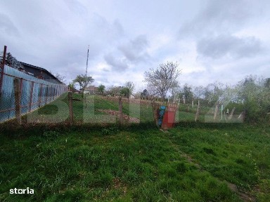 Ciarda Rosie, Timisoara, Timis