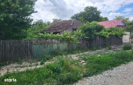 Casa si teren, loc Dragalina, Jud. Calarasi-03.03