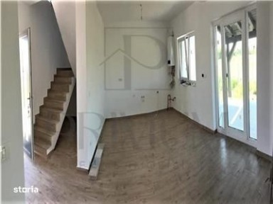 Mosnita Veche, Mosnita Noua, Timis