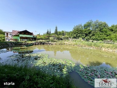 Casa de vacanta cu balta de peste in apropiere de Blaj