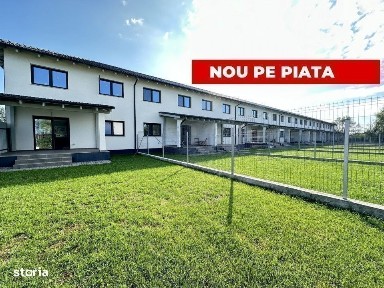 Sanandrei, Timis
