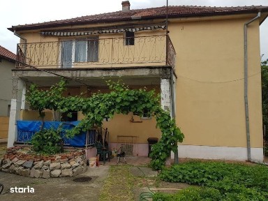 Casa mare de vanzare Calea Sagului