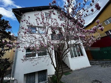 Casa individuala 7 camere, 775 mp teren, zona Cetate Ultracentral