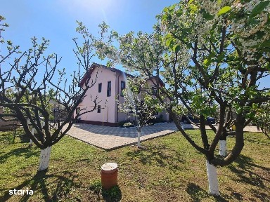 Strada Rovine, Buftea, Ilfov