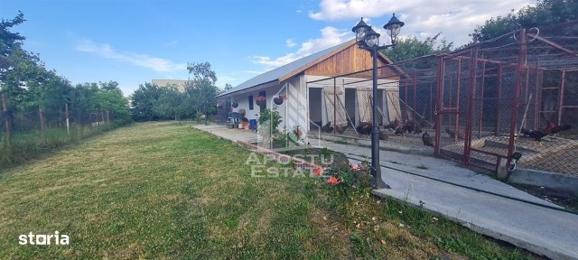 Casa individuala de vanzare cu teren de 2000 mp, Fratelia, Timisoara