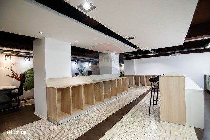 Strada Ion Mincu, Aviatorilor, Sectorul 1, Bucuresti