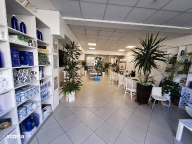 Craiovei, Pitesti, Arges