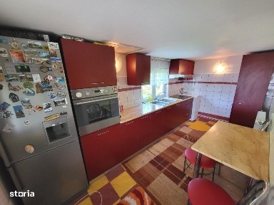 Nicolae Balcescu, Bacau