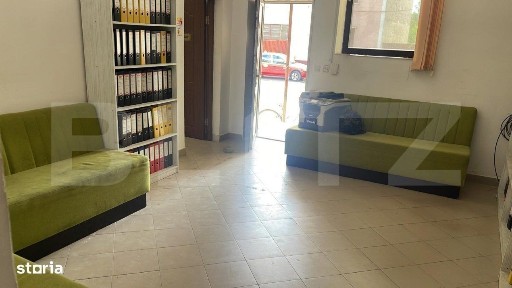 Subcentral, Satu Mare