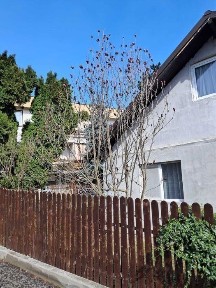 Vând casa centru Suceava, individuala cu curte proprie.