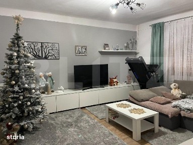 Lunca Sighet, Satu Mare