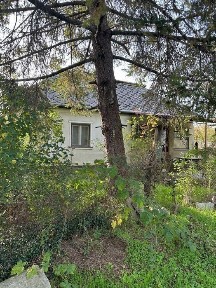 Casa Viile Satu Mare