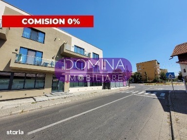 Strada Vasile Alecsandri, Targu Jiu, Gorj