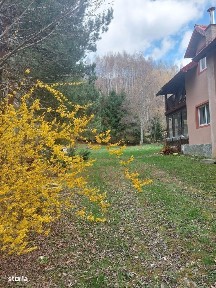 CASĂ DE VACANȚĂ 5 CAMERE,POINANA MĂRULUI, JUD.CARAȘ-SEVERIN