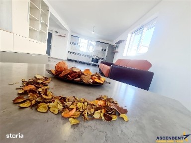 Resedinta cu:foisor,2 garaje, crama tip restaurant+garsoniera lux.