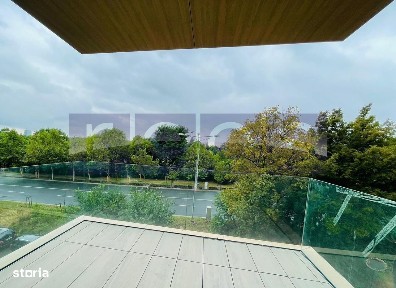 Calea Floreasca, Floreasca, Sectorul 1, Bucuresti