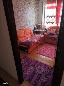 Solidaritatii, Satu Mare