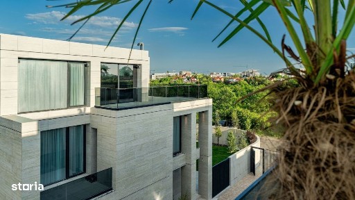 Drumul Bisericii, Voluntari, Ilfov