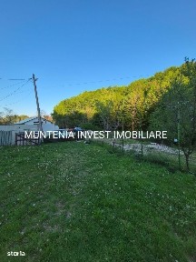 Casa + teren 950 com. Moșoaia, sat Smeura