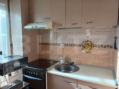 Apartament de vanzare, cu 3 camere, 48 mp, zona parc Nicolae Titulescu