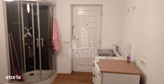 Cetate, Timisoara, Timis