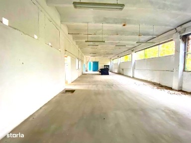 Strada Panait Cerna, Lugoj, Timis