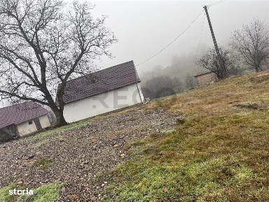 Plopis, Salaj