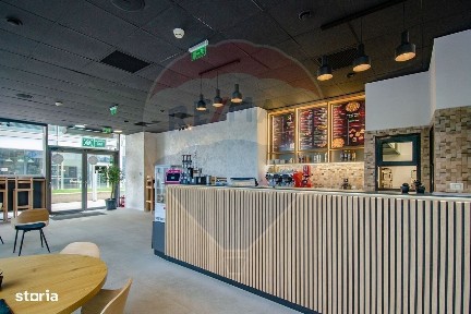 Strada Coriolan Brediceanu, Cetate, Timisoara, Timis