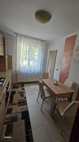 Subcentral, Satu Mare