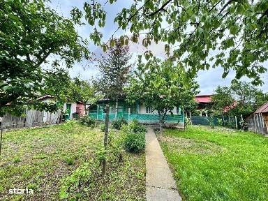 Strada Crizantemelor, Bacau