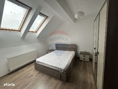 Valea Borcutului, Baia Mare, Maramures