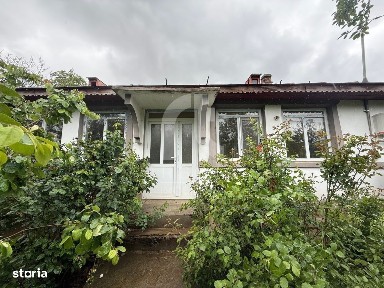 Cotu Ciorii, C.A. Rosetti, Buzau