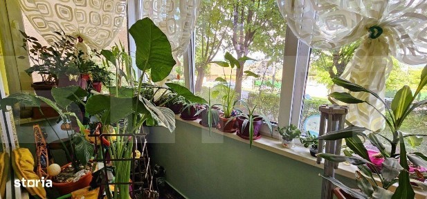 Sfantu Gheorghe, Covasna