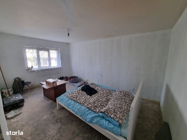 Delfinariu, Constanta