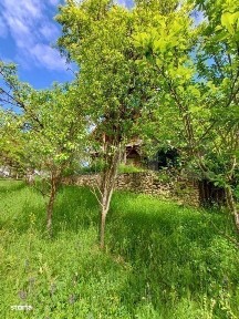 Casa 3 camere si teren 4873 mp in Pietroasa, Moldoveneşti