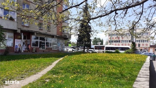 Florilor-Craiter, Brasov