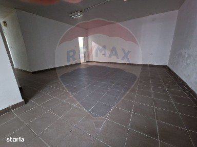 Mihail Kogalniceanu, Constanta