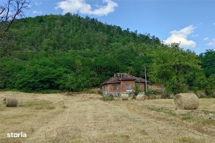 Dumbrava De Jos, Ribita, Hunedoara