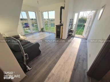 Cicir, Vladimirescu, Arad