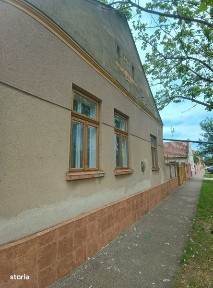 Vand casa in Satchinez