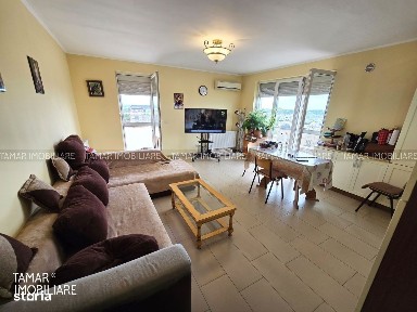 Apartament Tip Penthouse 2 camere Micalaca - Orizont