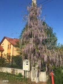 Bistrita, Bistrita-Nasaud