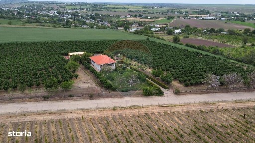 Dobrinesti, Nicoresti, Galati