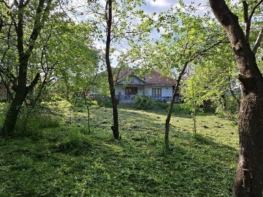 Casa in Moinesti, teren 1870m2, 90 m deschide la strada Stefan Luchian