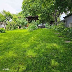 Casa central str. Obedeanu in spatele Gradinii Botanice.