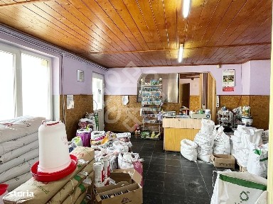 Strada Ion Bogdan, Oncea, Oradea, Bihor